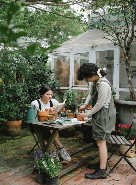 Suburban Ecology: A New Year’s Resolution For A Healthier Planet