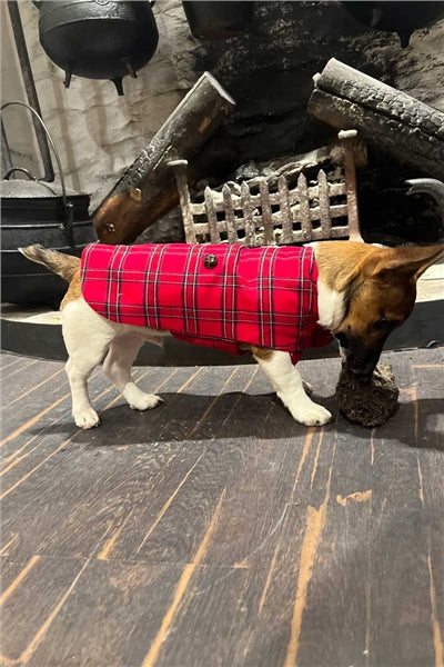 Lee Valley Flannel Dog Coat- Red Tartan (LV27) - Small