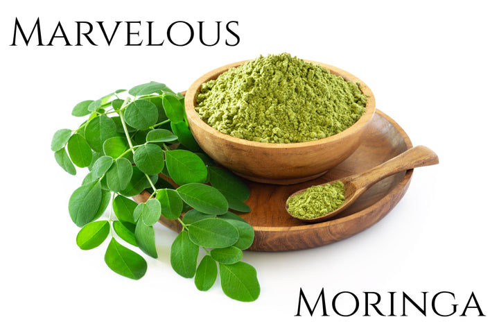 Moringa Dual Extracted Powder-4