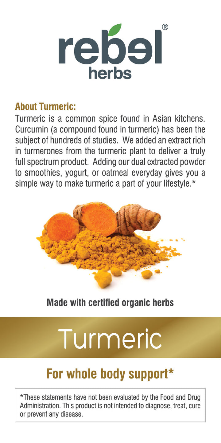 Turmeric Dual Extracted Powder-2